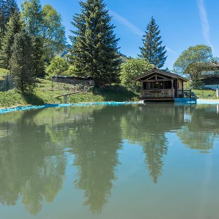Almliesl Holl-559 Villa Холерсбах им Пинцгау Екстериор снимка